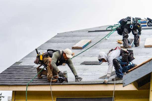 Professional Gutter Installation technician working in Albany, WI